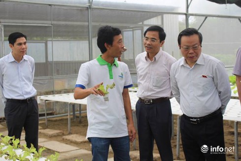 Phó Chủ tịch Quốc hội nhổ rau sống ăn thử ngay tại vườn - ảnh 2