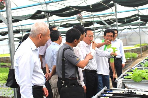 Phó Chủ tịch Quốc hội nhổ rau sống ăn thử ngay tại vườn - ảnh 3