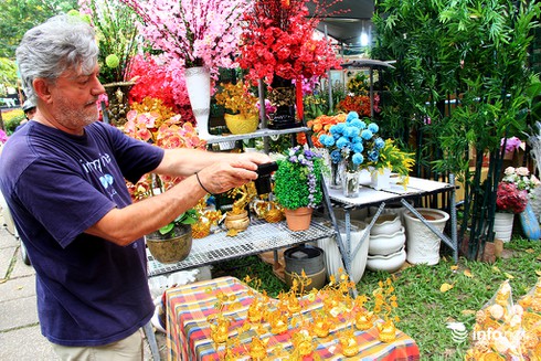 Du khách nước ngoài ngẩn ngơ trước rừng hoa bán Tết ở TP.HCM - ảnh 11