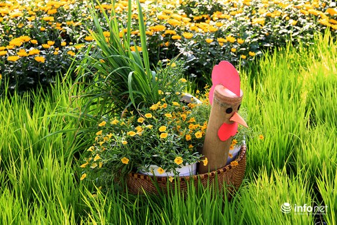 Hương đồng cỏ nội ngào ngạt ở hội hoa xuân “phố nhà giàu” Phú Mỹ Hưng - ảnh 9