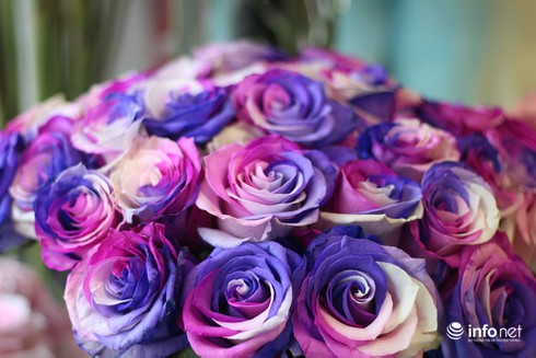 Ngắm bình hoa hồng nhập khẩu giá 70 triệu đồng đại gia tặng vợ dịp Valentin - ảnh 1