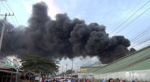 Công ty chuyên sản xuất keo nhựa ở Long An cháy ngút trời - ảnh 1