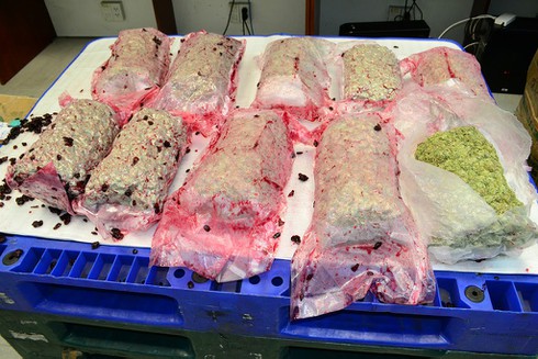 Hải quan sân bay thu giữ 12kg cần sa nhập lậu từ Mỹ - ảnh 1