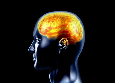 Vì sao động kinh có thể gây đột tử? - ảnh 1