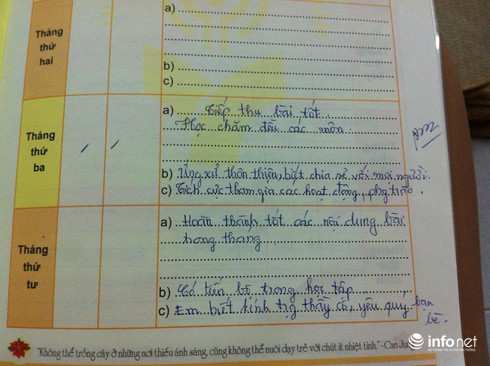 Đánh giá HS tiểu học cuối học kỳ I: Giáo viên phải thức đến 2h sáng - ảnh 1