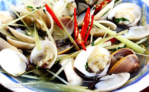 Những ai không nên ăn ngao? - ảnh 1