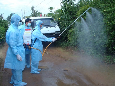 TPHCM: Bỏ sót 23 ca sốt xuất huyết - ảnh 1