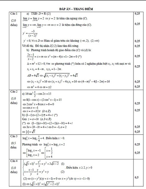 TPHCM công bố đề thi thử và đáp án môn Toán - ảnh 3