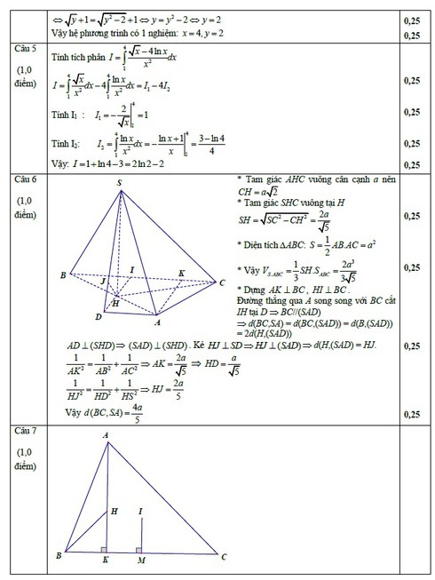 TPHCM công bố đề thi thử và đáp án môn Toán - ảnh 4