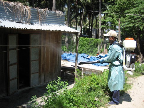 TP.HCM: Hơn 6.000 ca sốt xuất huyết, diễn biến dịch phức tạp - ảnh 1