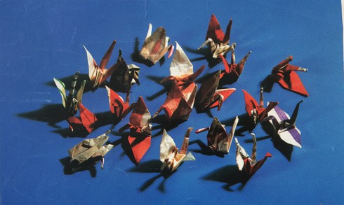 Đề cao giáo dục hòa bình trong thời bình - ảnh 1