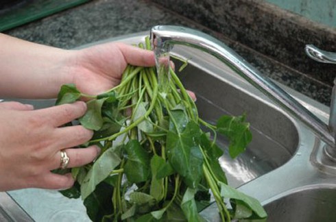 Chi cục Bảo vệ thực vật TP.HCM bày cách phát hiện rau bẩn - ảnh 1