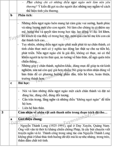 Gợi ý bài giải môn Ngữ văn tuyển sinh lớp 10 TP.HCM - ảnh 3