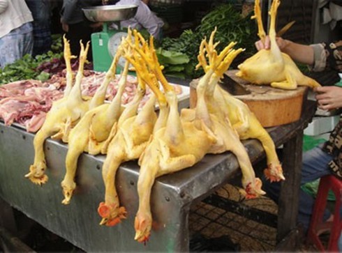 Liên tục phát hiện sữa, bột bắp, thịt gà… chứa đầy hóa chất - ảnh 1