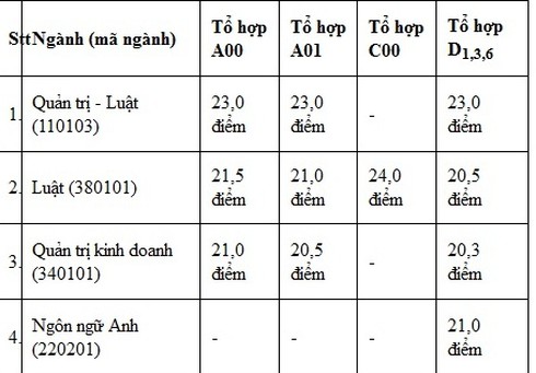 Điểm chuẩn thấp nhất của ĐH Luật TP.HCM là 20,3 điểm - ảnh 2