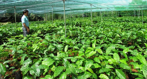 Xã điểm nông thôn mới Gung Ré đạt tiêu chí bưu điện - ảnh 1