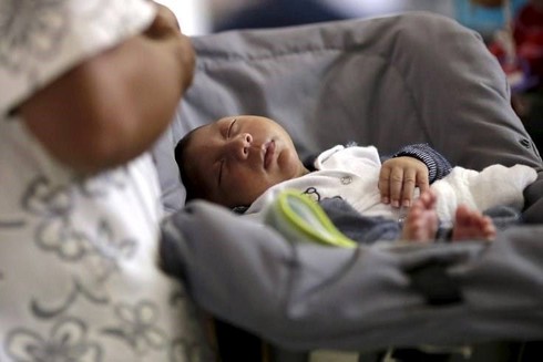Chỉ 1-10% thai nhi bị ảnh hưởng Zika - ảnh 1