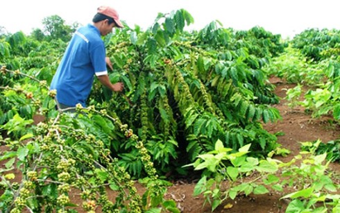 Đảng bộ xã Đạ Long đưa Nghị quyết của Đảng vào cuộc sống - ảnh 1