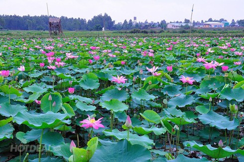 Đảng bộ xã Đốc Binh Kiều triển khai Nghị quyết Đảng sát thực tế cuộc sống - ảnh 1
