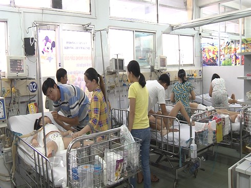 TP.HCM gia tăng các ca mắc bệnh viêm não: Lỗi không phải từ trái vải - ảnh 1