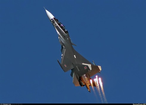 Nếu đối đầu trực tiếp Su-30 hay F-22 sẽ bại trận? - ảnh 2