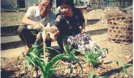 Tiến sĩ - dược sĩ Nguyễn Thị Ngọc Trâm: Trinh nữ hoàng cung đã “ám ảnh” tôi - ảnh 3