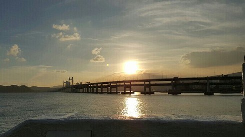 Vietjet công bố mở đường bay Hà Nội – Busan - ảnh 5