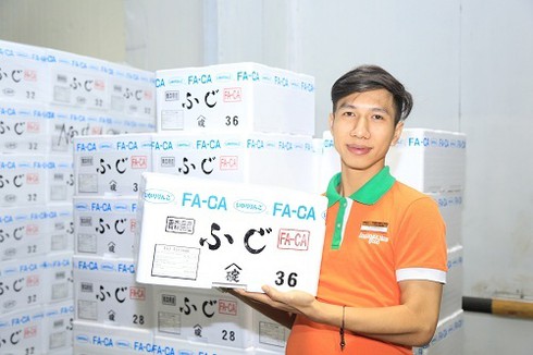 Táo tươi Aomori - Nhật Bản chính thức được Intimex nhập khẩu về Việt nam - ảnh 1