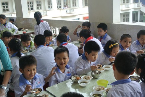 Cả nước đồng loạt triển khai thực đơn cho học sinh tiểu học bán trú - ảnh 1