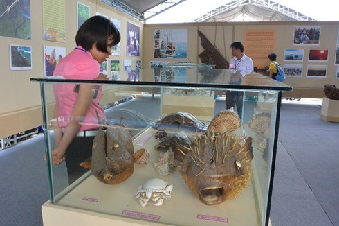 Triển lãm Di sản văn hóa biển, đảo: Nâng cao nhận thức về chủ quyền biển đảo - ảnh 2
