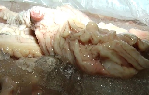 Huế: Bắt giữ gần 3,5 tấn nội tạng bốc mùi hôi thối đang trên đường đi tiêu thụ - ảnh 2