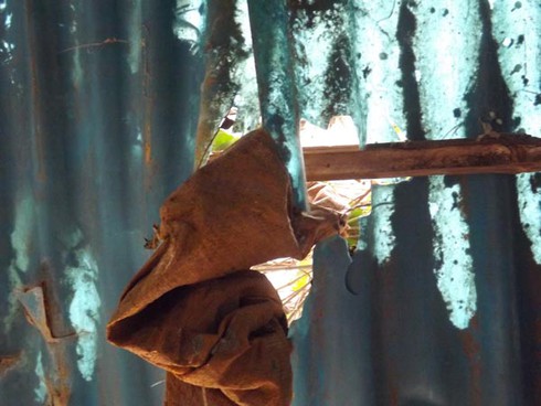 Suýt chết, nơm nớp sợ hãi vì dự án Đại Thanh - ảnh 6