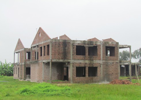 Hà Nội: Lại chuyện xây trường làm nơi nuôi, nhốt bò - ảnh 3