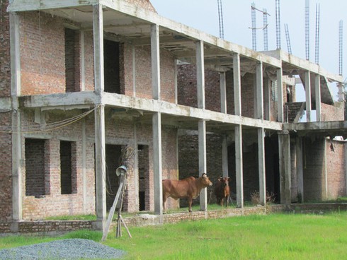 Hà Nội: Lại chuyện xây trường làm nơi nuôi, nhốt bò - ảnh 4