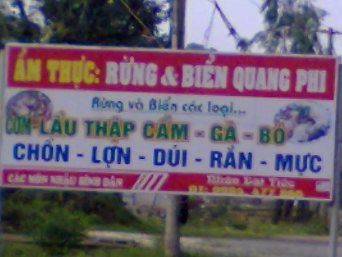 Theo vết chân thợ săn trộm thú rừng - ảnh 3