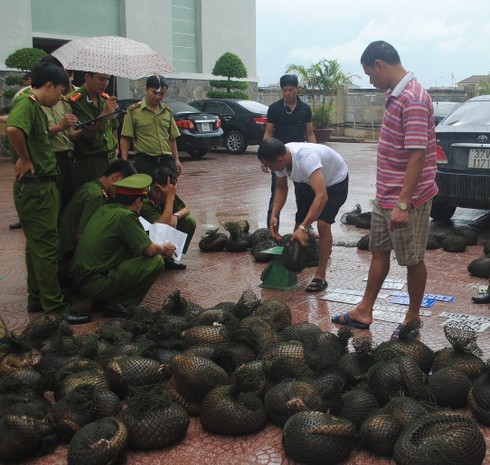 Theo vết chân thợ săn trộm thú rừng - ảnh 4