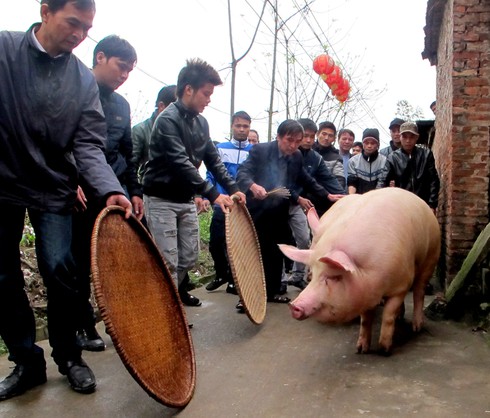 Đến La Phù xem rước “Ông Lợn” - ảnh 2