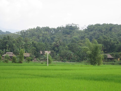 Nà Mường đã thoát nghèo - ảnh 1