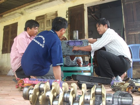 Bình Đinh: Tạo việc làm cho 250 lao động nông thôn - ảnh 1