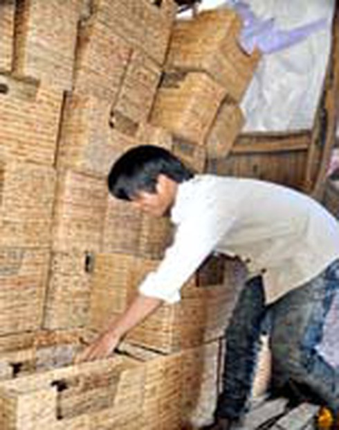 Làm giàu từ cây lục bình - ảnh 1