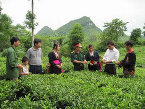 Quân dân chung sức xây dựng nông thôn mới - ảnh 1