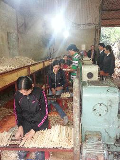 Lao động nghèo ở Tiền Giang được hỗ trợ học nghề - ảnh 1