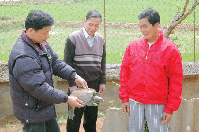 Nông dân Sơn La đua nhau học nghề để làm giàu - ảnh 1