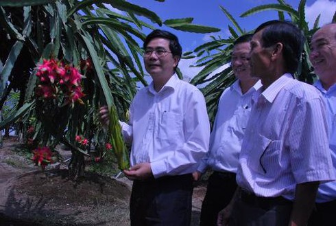 Đổi thay ở Long An - ảnh 1