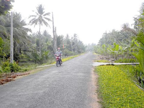Đổi thay ở Bến Tre - ảnh 1
