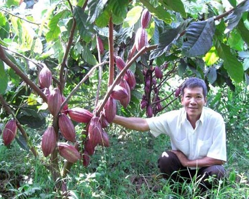 Quới Sơn bứt phá - ảnh 1