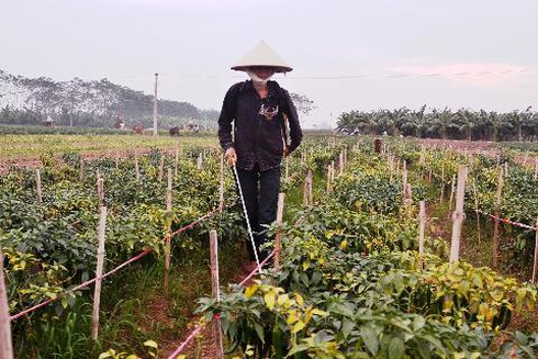 Điểm sáng ở Yên Bái - ảnh 1