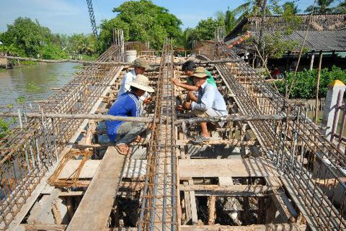 Sức bật Trường Xuân - ảnh 1