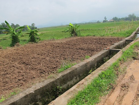 Lương Nha tạo sức bật - ảnh 1