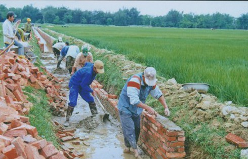 Nông dân Trà Vinh tich cực xây dựng NTM - ảnh 1